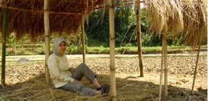 tri-mumpuni